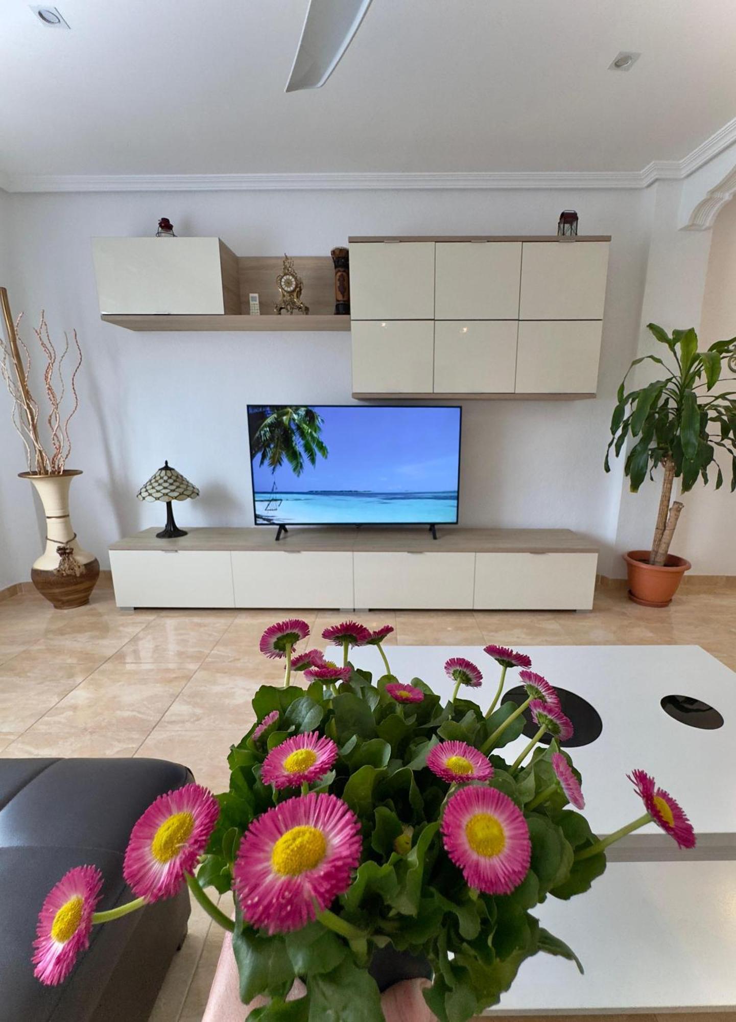 Alenia Apartments Alicante Buitenkant foto